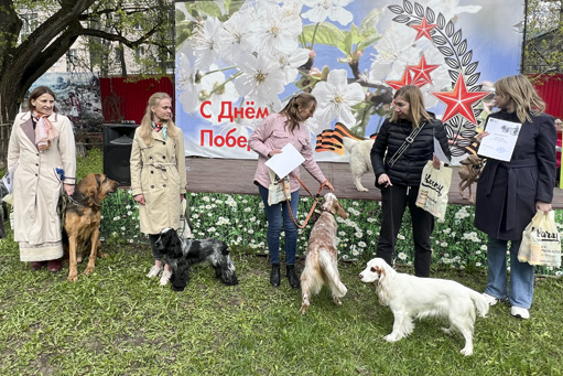 Анонс.jpg