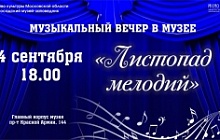 Музыкальный вечер 