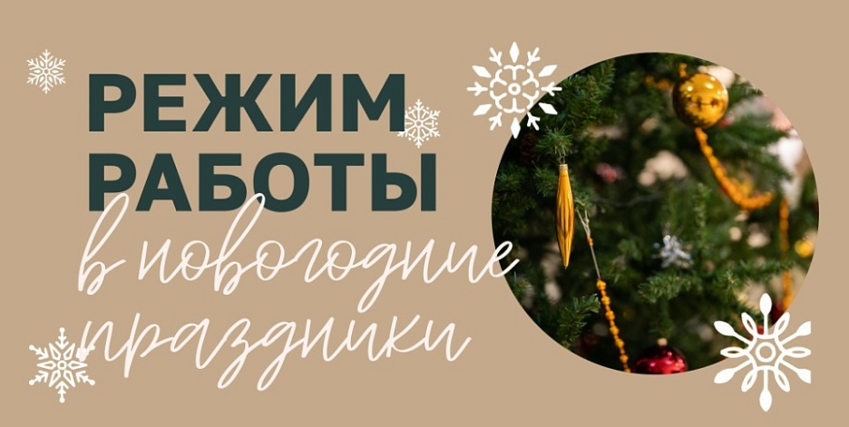 Режим работы в новогодние праздники 2026 г.